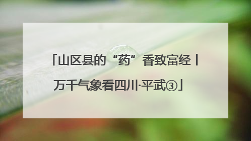 山区县的“药”香致富经丨万千气象看四川·平武③